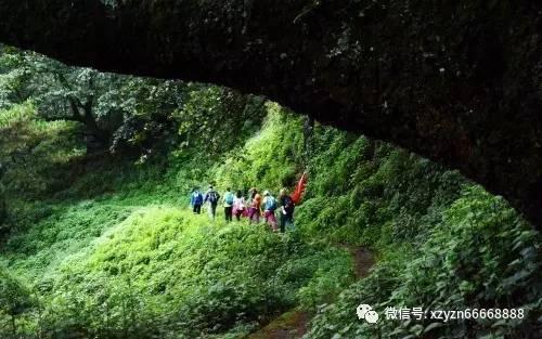 《探索知识星球平台,天价彩礼的社会意义何在?带您自由飞翔》